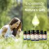 Organic Natural Pure Candle Fragrance Making Diffuser Aromatherapy Massage Oil Sandalwood Essential Oil Set