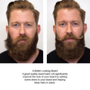 Mens herbal premium growth-promoting beard care oil price barber oil for black men beard